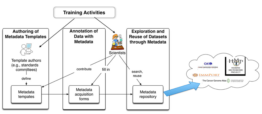 Diagram showing availability of training activities in different stages of metadata creation process