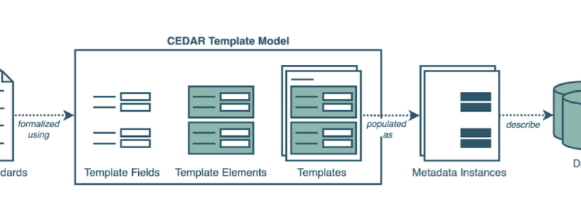 Diagram of the CEDAR template model: community standards are formalized as template fields, elements, and templates, populated as metadata instances that describe datasets.