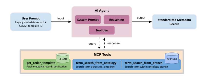 The ARMS architecture: an AI agent takes a legacy metadata record and CEDAR template ID, uses MCP tools to query CEDAR and BioPortal, and outputs a standardized metadata record.